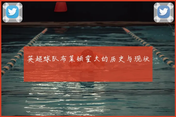 英超球队布莱顿霍夫的历史与现状