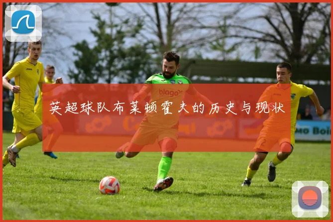 英超球队布莱顿霍夫的历史与现状