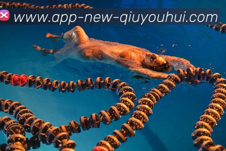 球友会app平台生态图